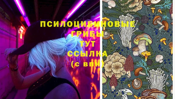 спиды Арсеньев
