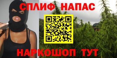 дмт Можга