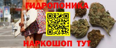 дмт Можга
