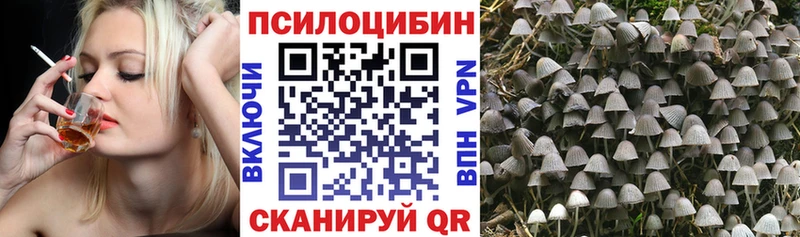продажа наркотиков  ссылка на мегу tor  Псилоцибиновые грибы Magic Shrooms  Североуральск 