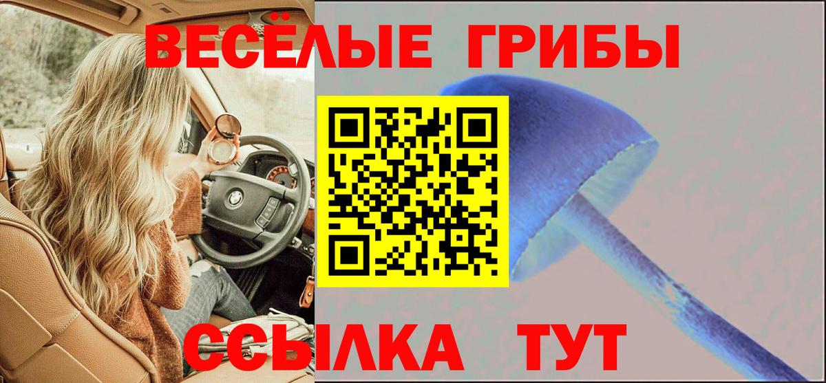 Псилоцибиновые грибы MAGIC MUSHROOMS Североуральск