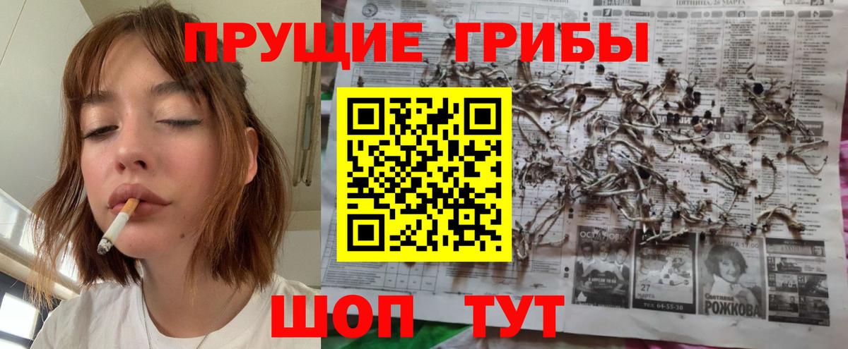 Галлюциногенные грибы ЛСД  Псилоцибиновые грибы MAGIC MUSHROOMS  Североуральск  где можно купить   Вход с VPN 